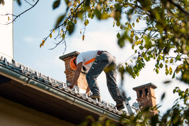 Best Roof Maintenance Services  in Heritage Lake, IL