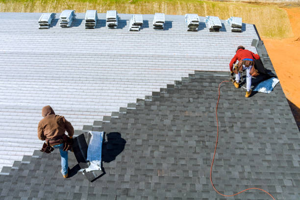 Best Roof Gutter Cleaning  in Heritage Lake, IL